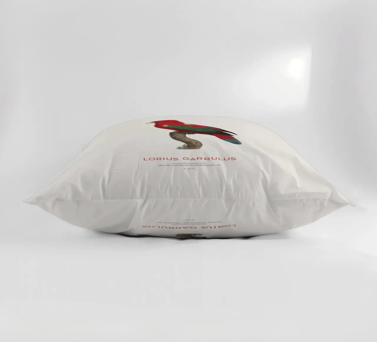 Lorius Garrulus o Lorius Garrulus cuscino da Vintagrafica