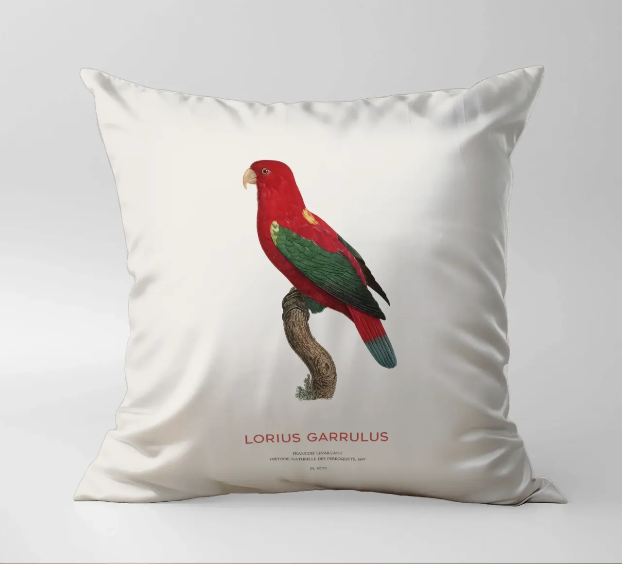 Lorius Garrulus o Lorius Garrulus cuscino da Vintagrafica