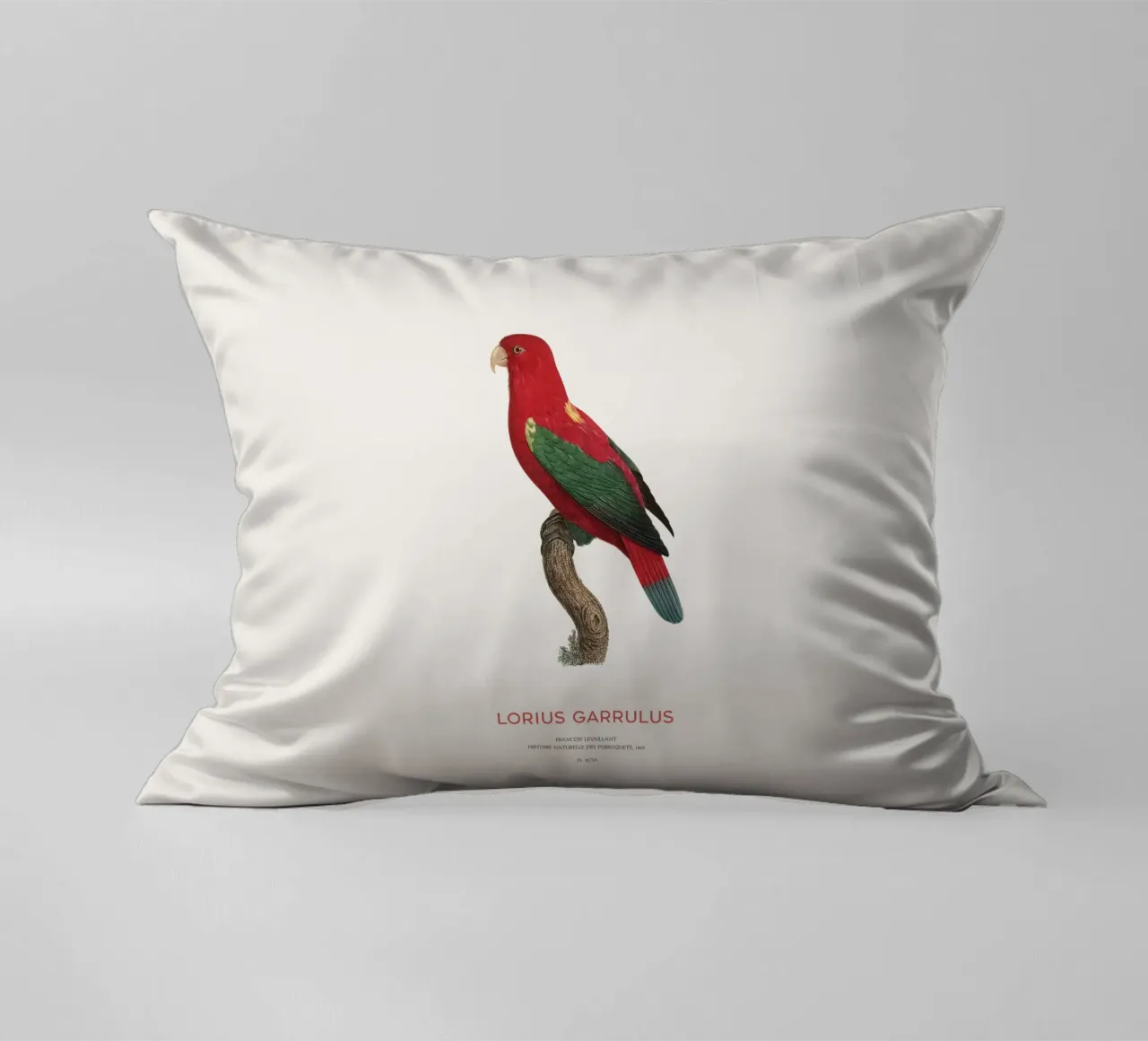 Lorius Garrulus o Lorius Garrulus cuscino da Vintagrafica