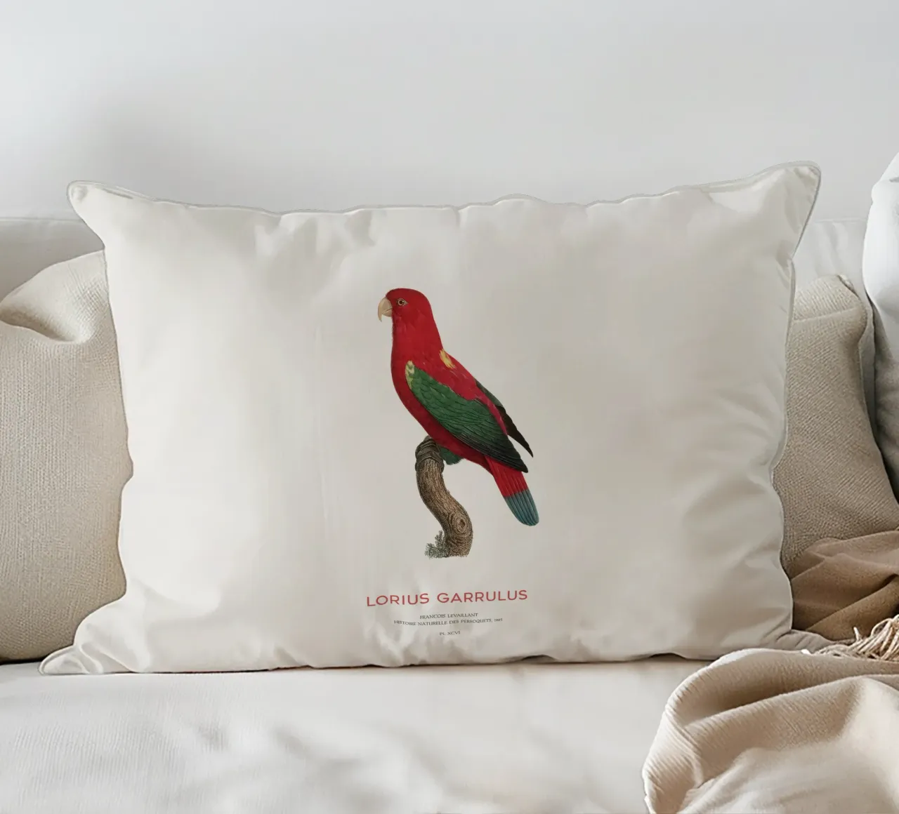 Lorius Garrulus o Lorius Garrulus cuscino da Vintagrafica