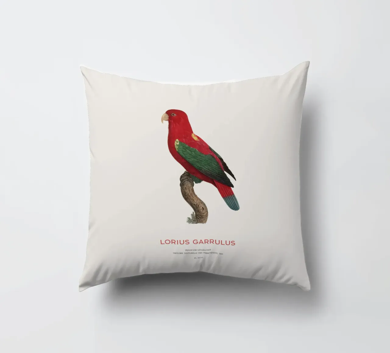 Lorius Garrulus o Lorius Garrulus cuscino da Vintagrafica