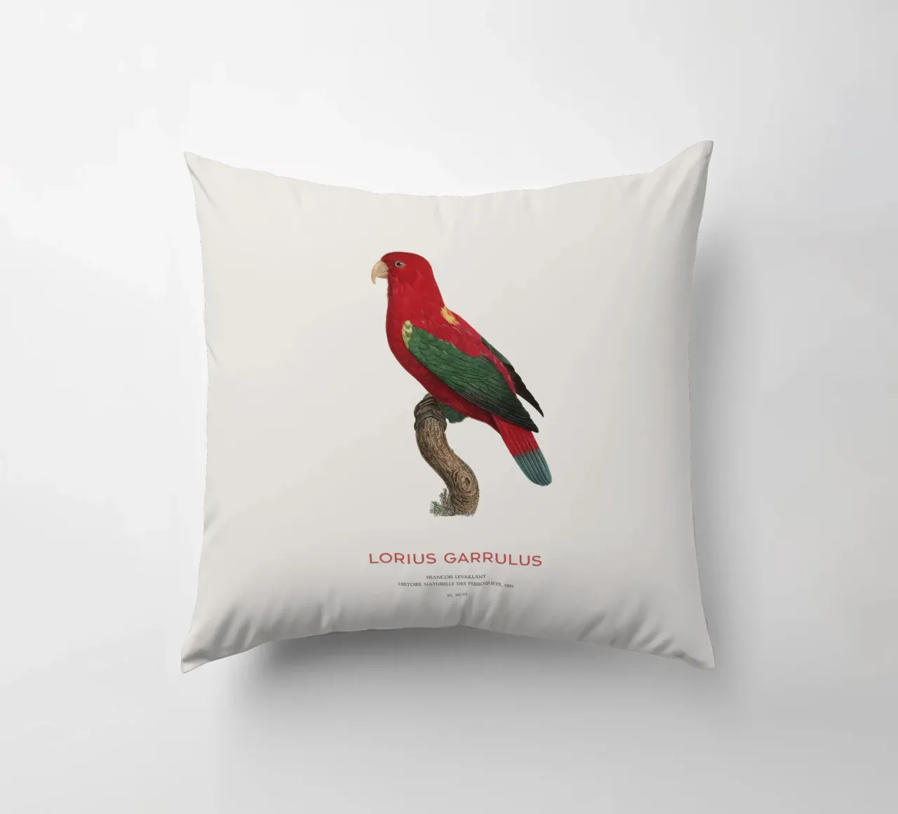 Lorius Garrulus o Lorius Garrulus cuscino da Vintagrafica