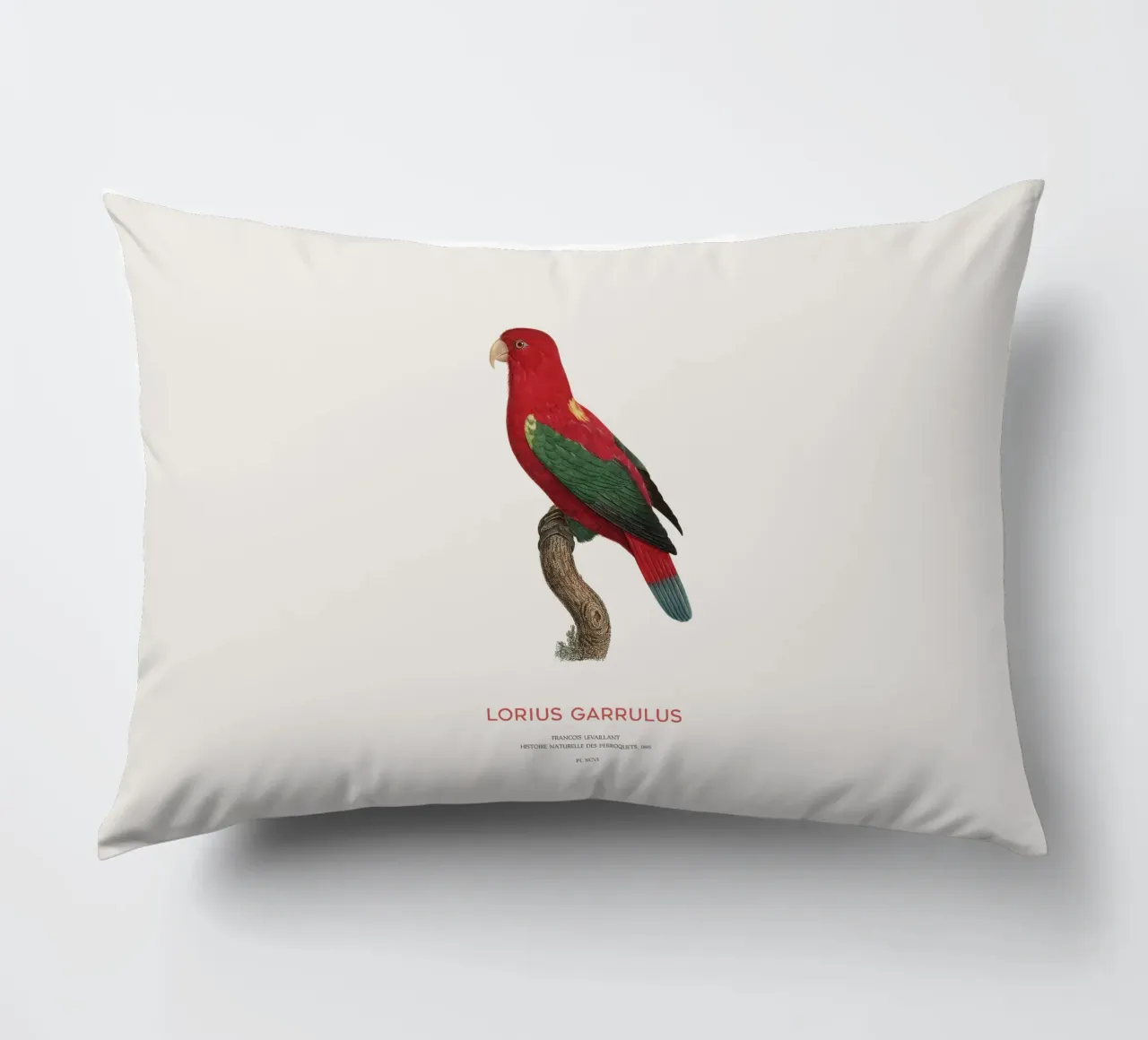 Lorius Garrulus o Lorius Garrulus cuscino da Vintagrafica