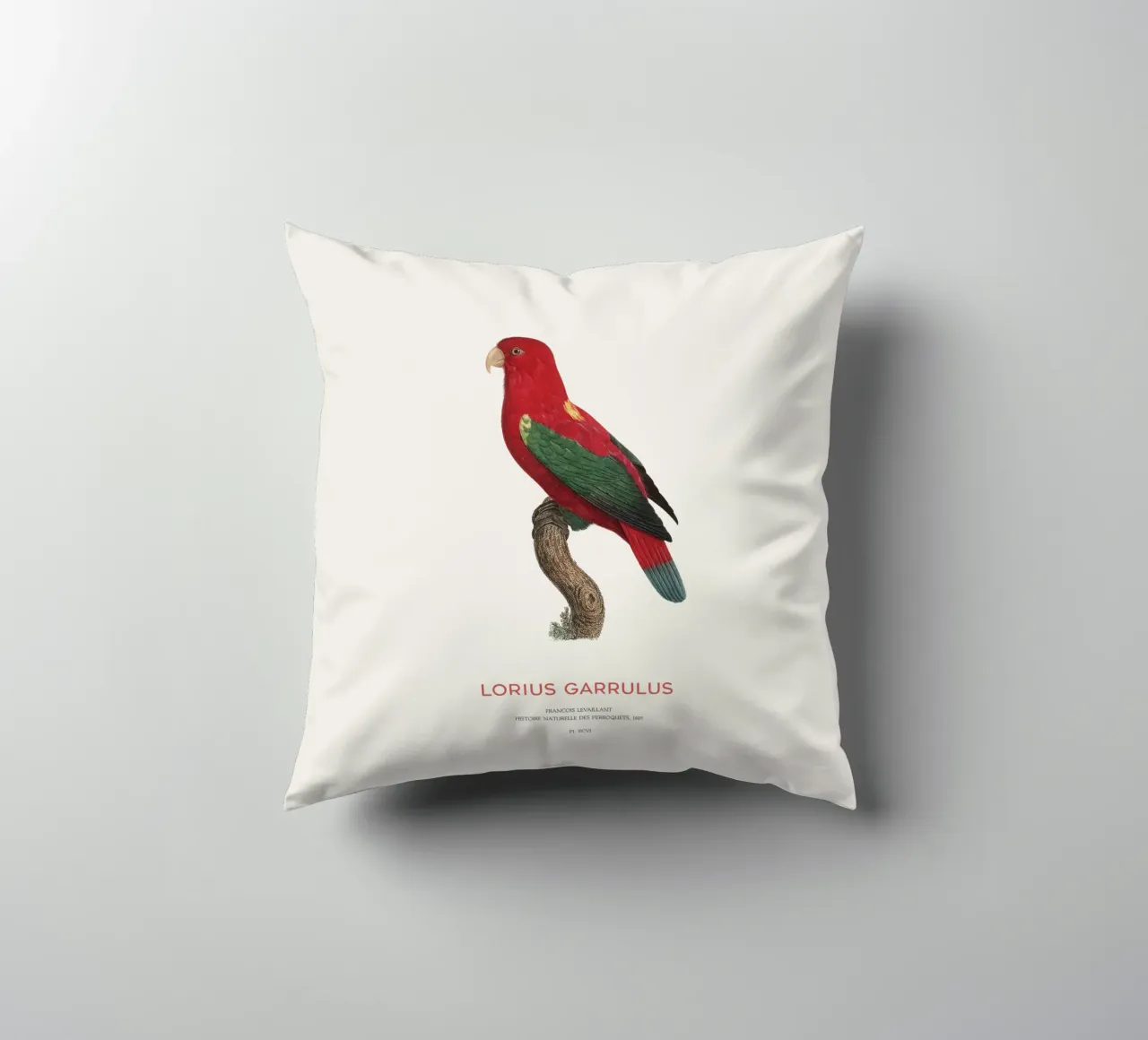 Lorius Garrulus o Lorius Garrulus cuscino da Vintagrafica