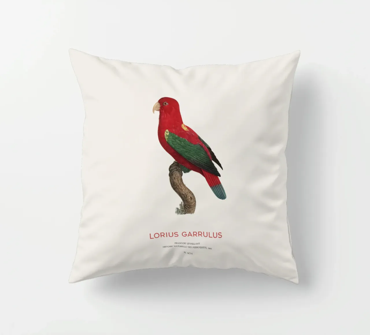 Lorius Garrulus o Lorius Garrulus cuscino da Vintagrafica