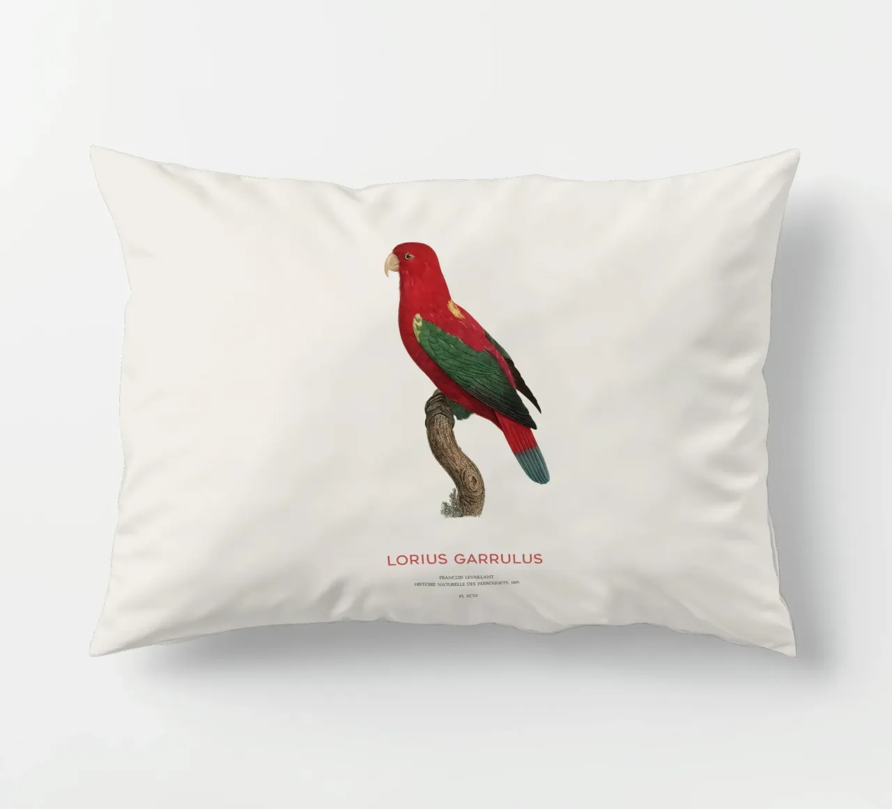 Lorius Garrulus o Lorius Garrulus cuscino da Vintagrafica