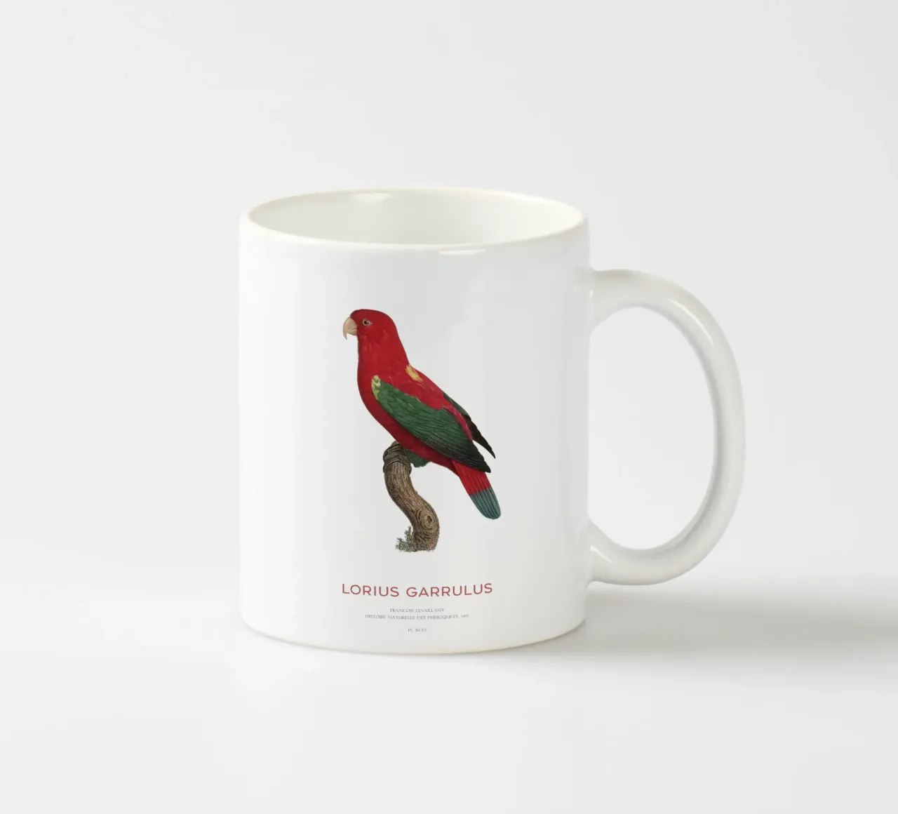Lorius Garrulus o Lorius Garrulus tazza in ceramica da Vintagrafica