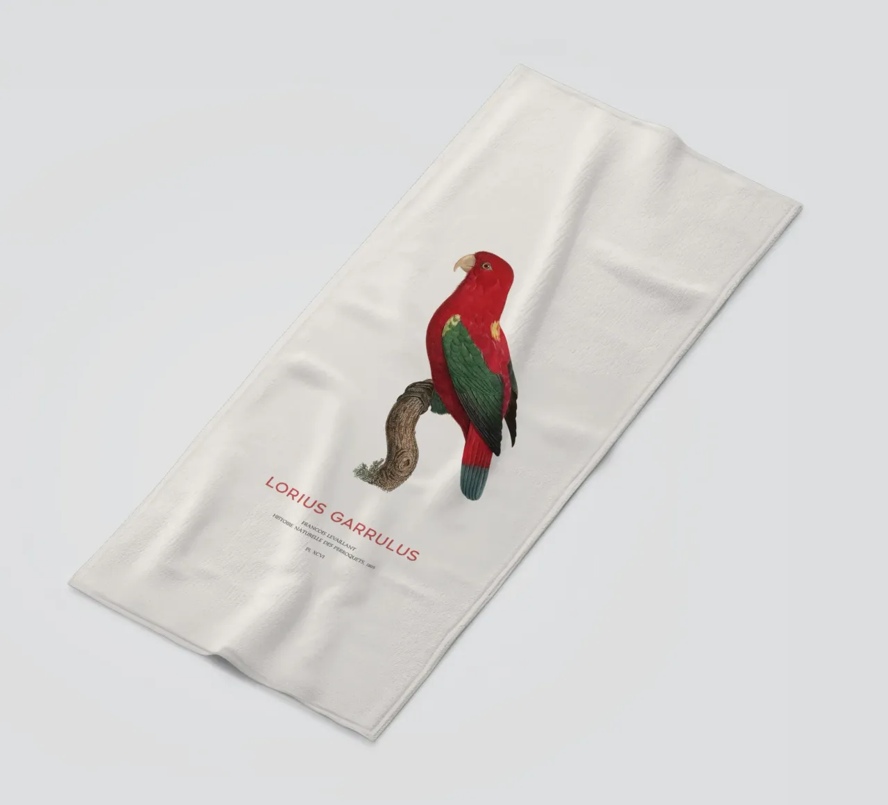 Lorius Garrulus o Lorius Garrulus telo mare da Vintagrafica