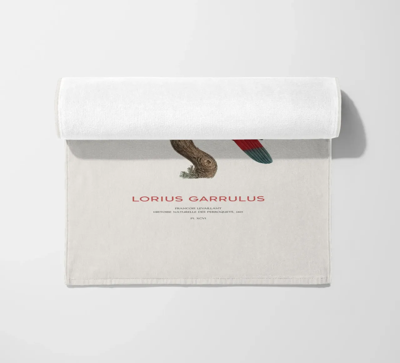 Lorius Garrulus o Lorius Garrulus telo mare da Vintagrafica