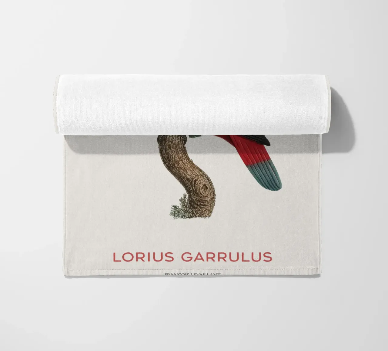Lorius Garrulus o Lorius Garrulus telo mare da Vintagrafica