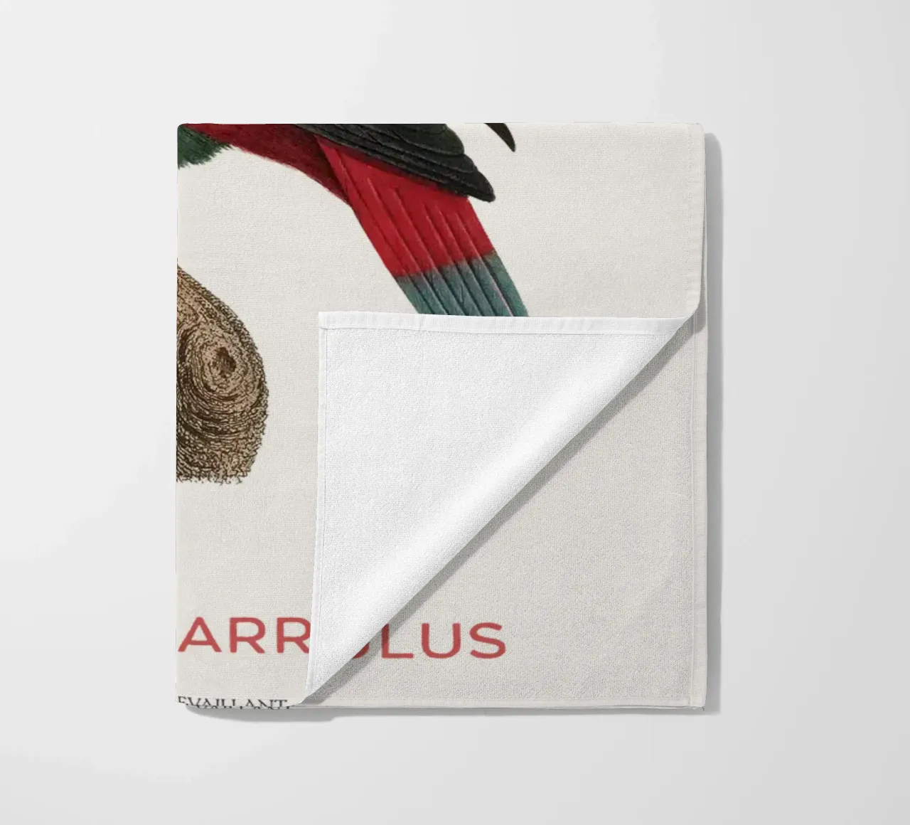 Lorius Garrulus o Lorius Garrulus telo mare da Vintagrafica