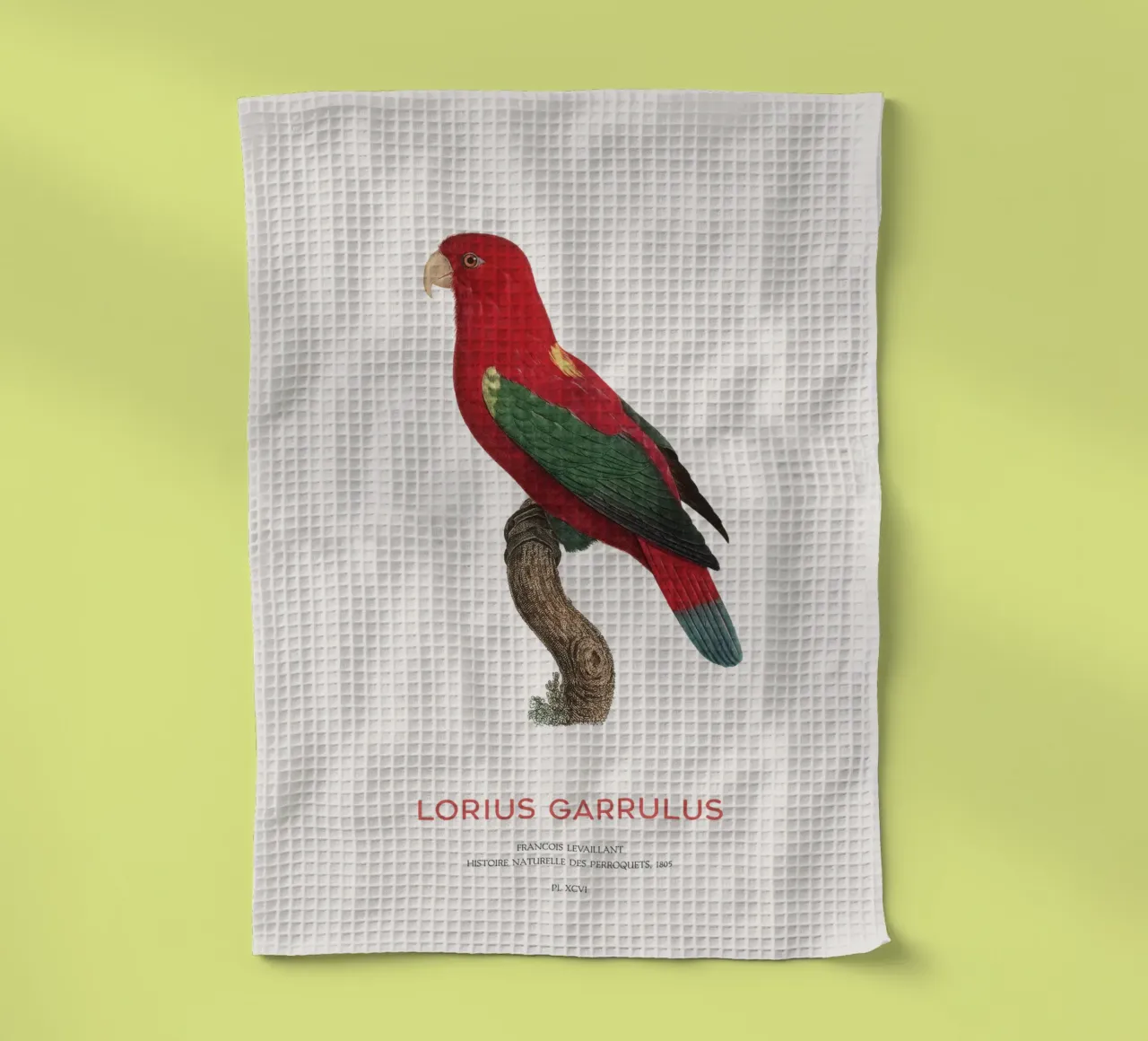 Lorius Garrulus o Lorius Garrulus canovaccio da cucina da Vintagrafica