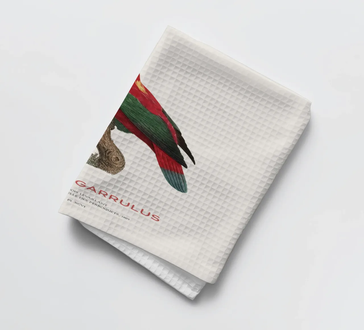 Lorius Garrulus o Lorius Garrulus canovaccio da cucina da Vintagrafica