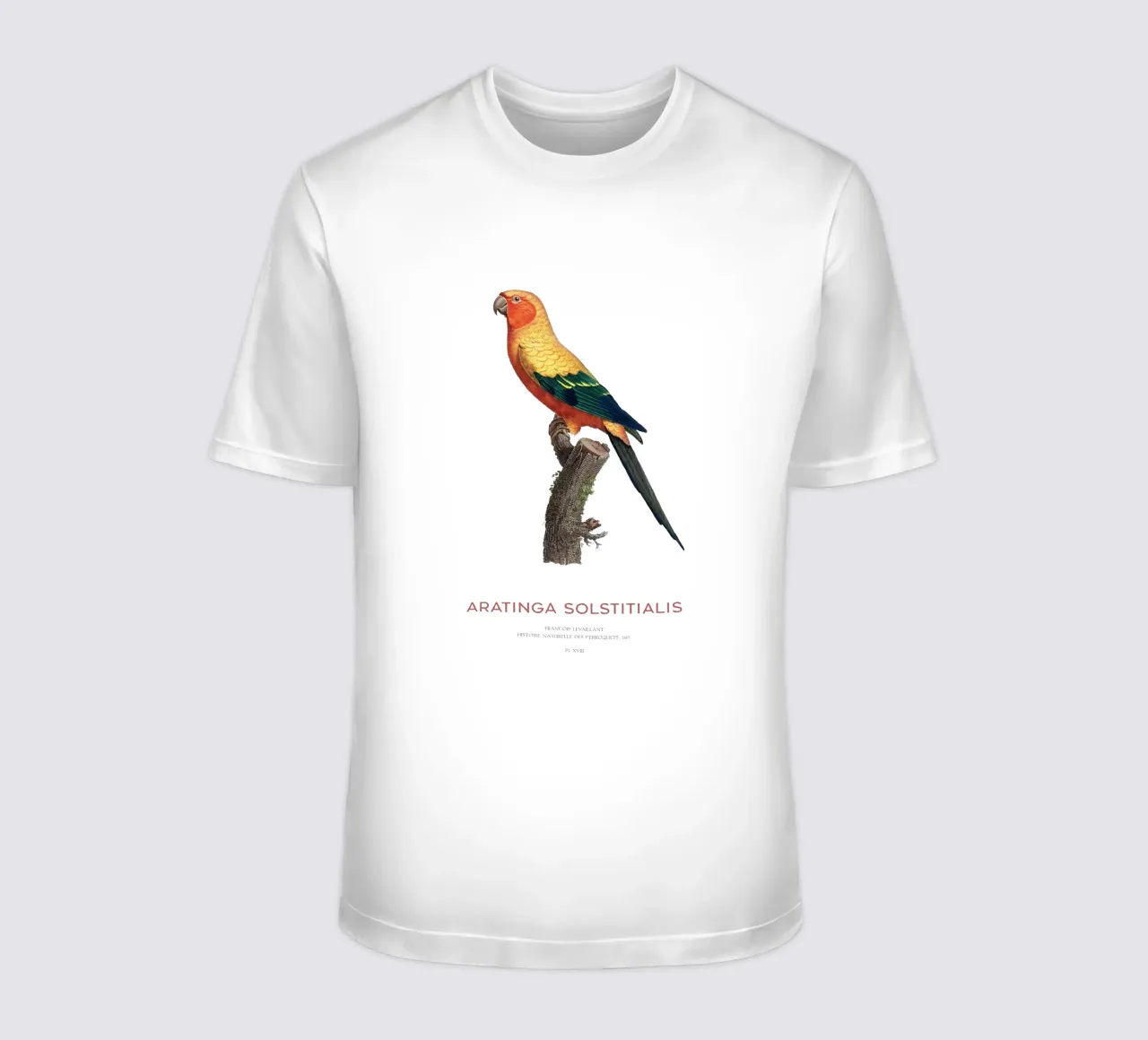 Sonnensittich oder Aratinga Solstitialis T-Shirt von Vintagrafica