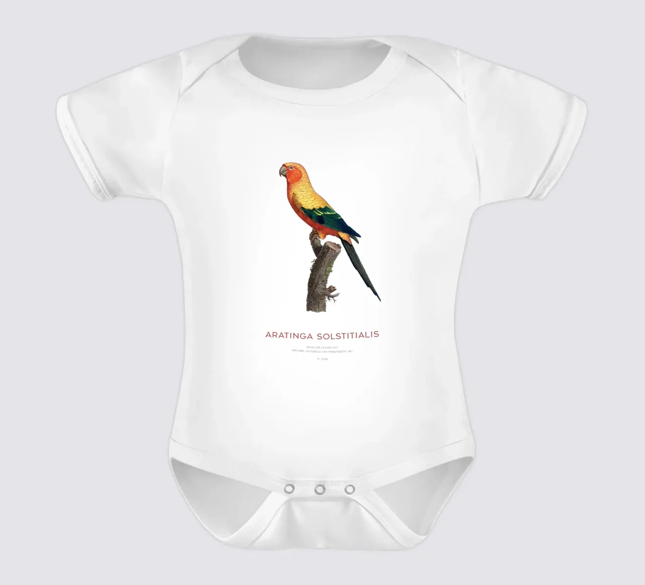 Sonnensittich oder Aratinga Solstitialis Kurzarm Babybody von Vintagrafica