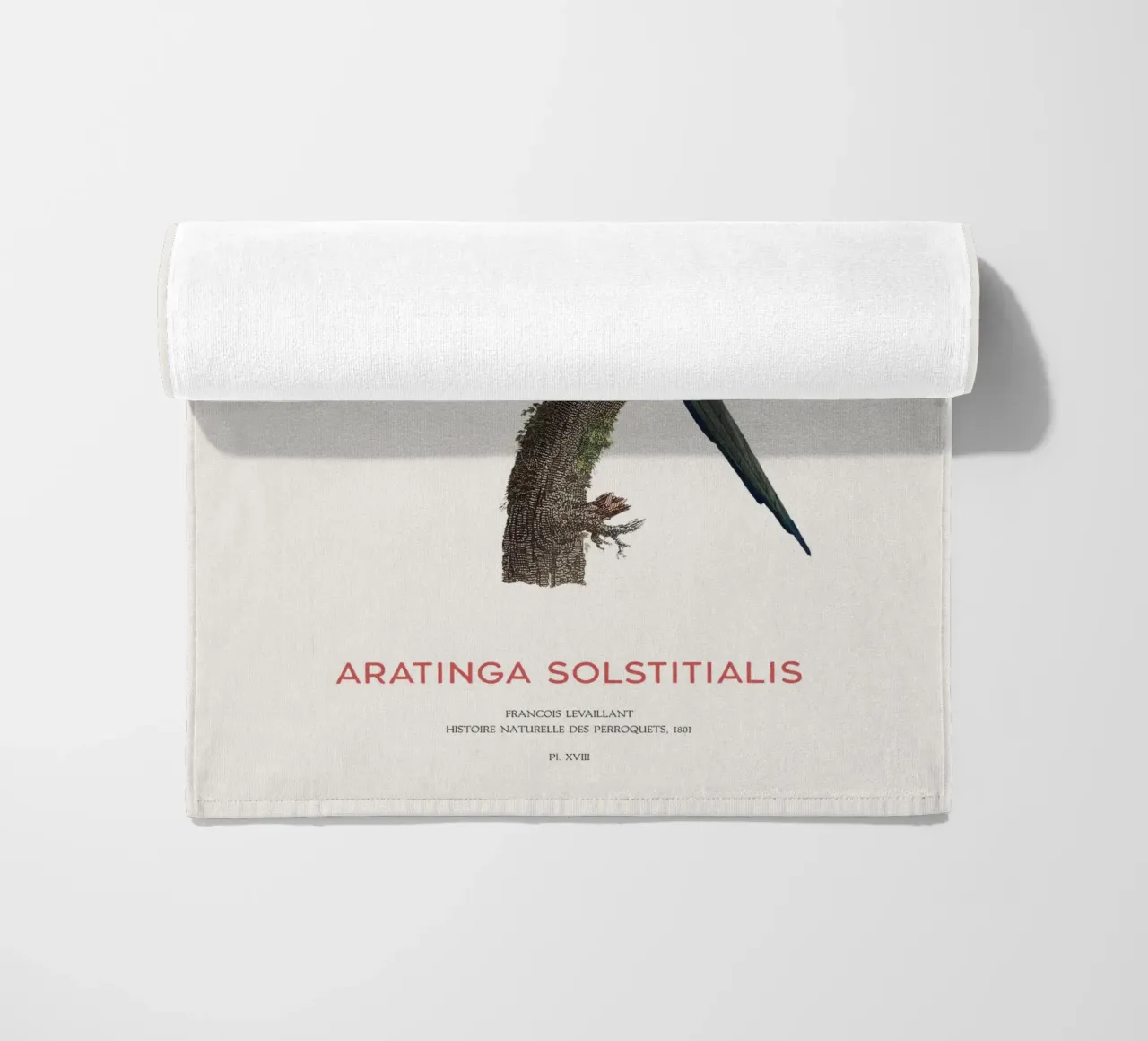 Parrocchetto del sole o Aratinga solstitialis telo mare da Vintagrafica