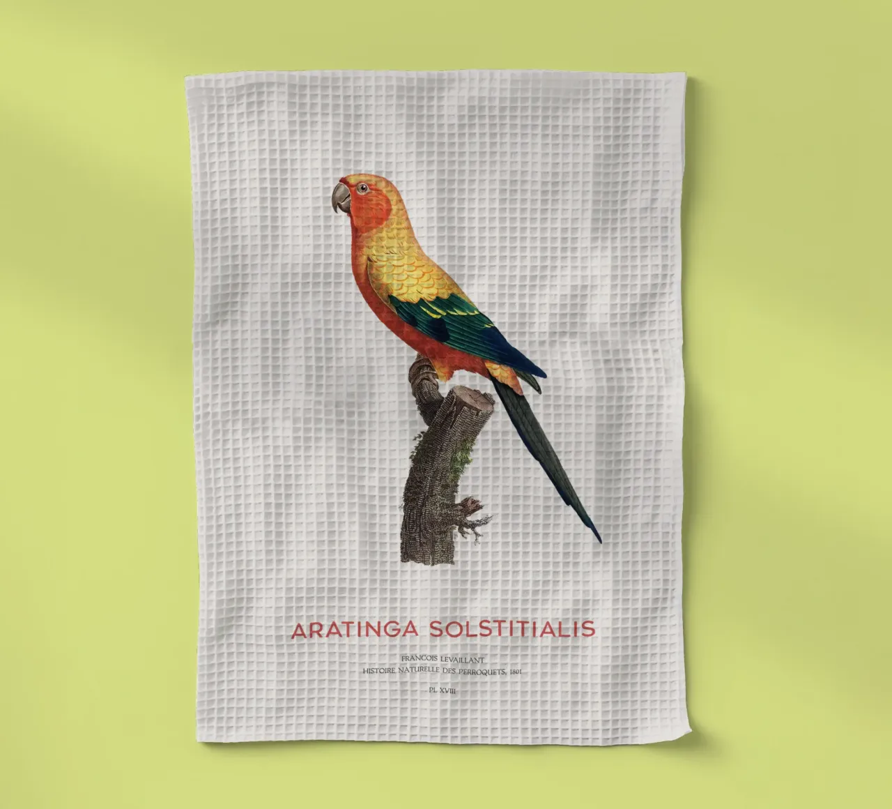 Sonnensittich oder Aratinga Solstitialis Geschirrtuch von Vintagrafica