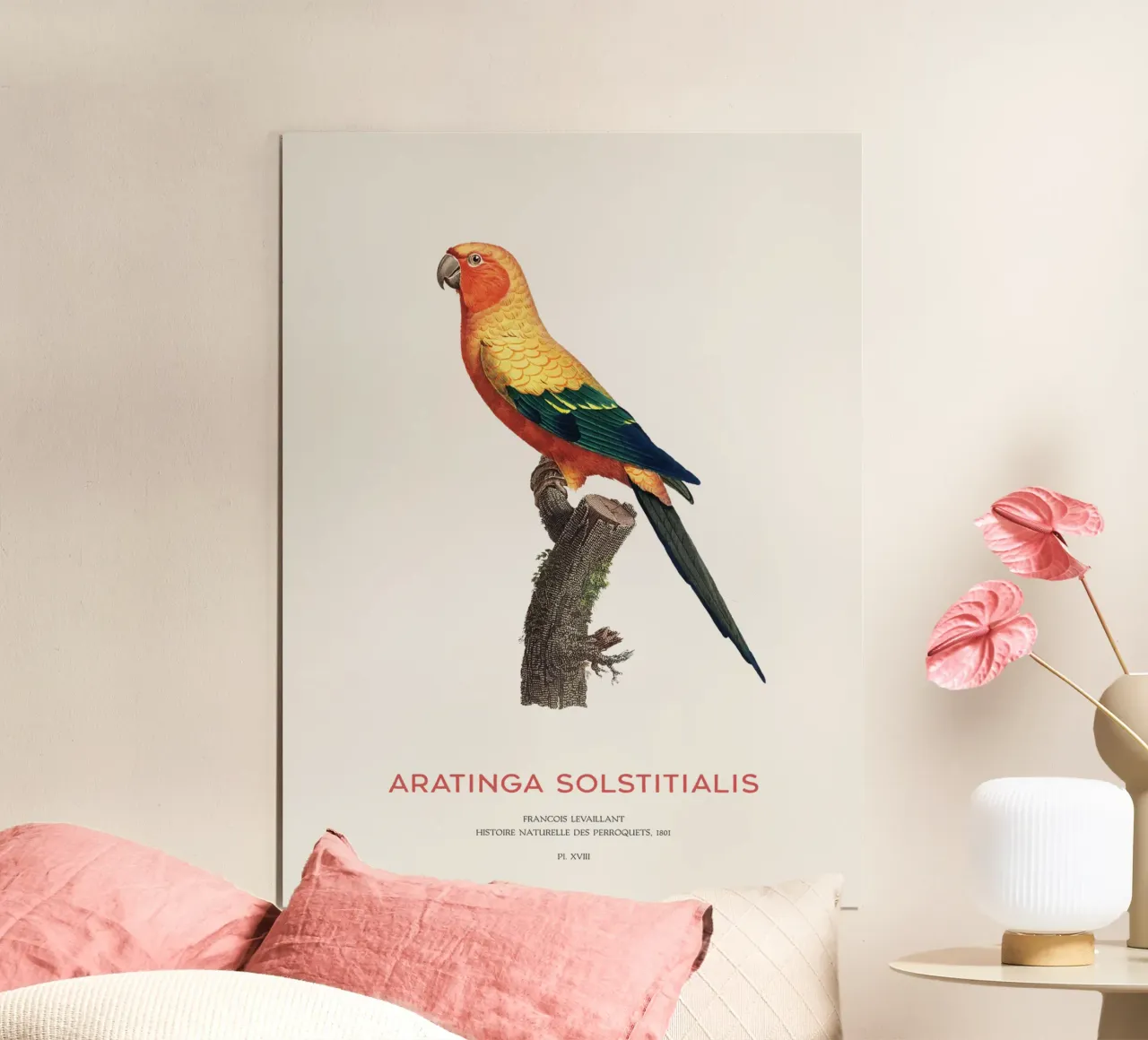 Sonnensittich oder Aratinga Solstitialis Hahnemühle von Vintagrafica