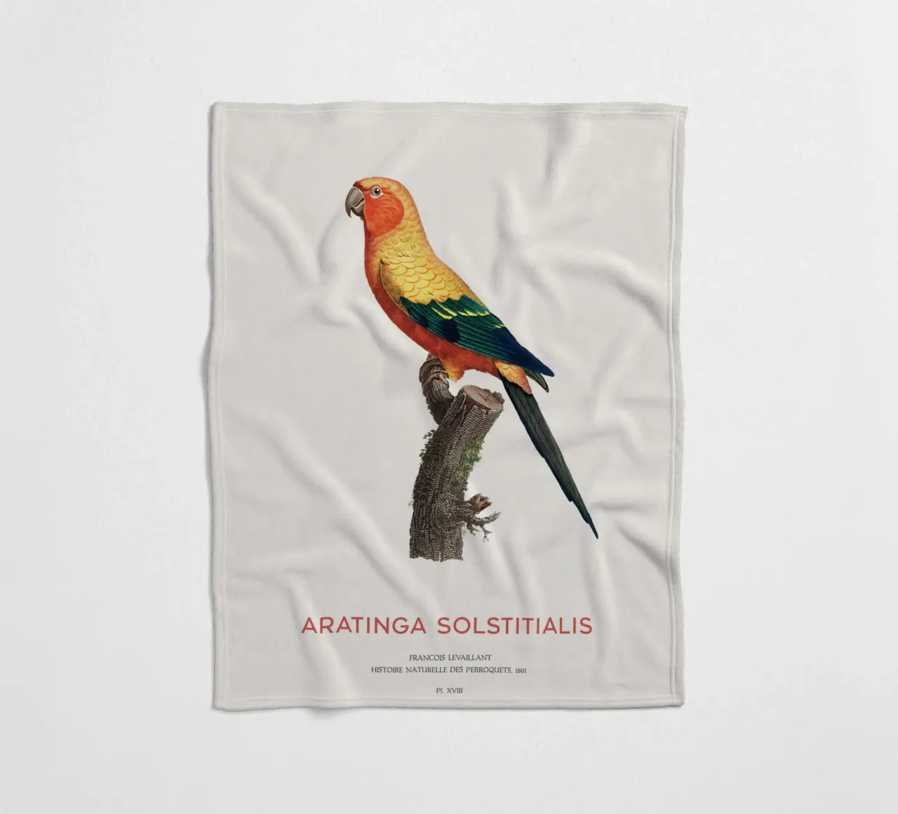 Sonnensittich oder Aratinga Solstitialis Fleecedecke von Vintagrafica