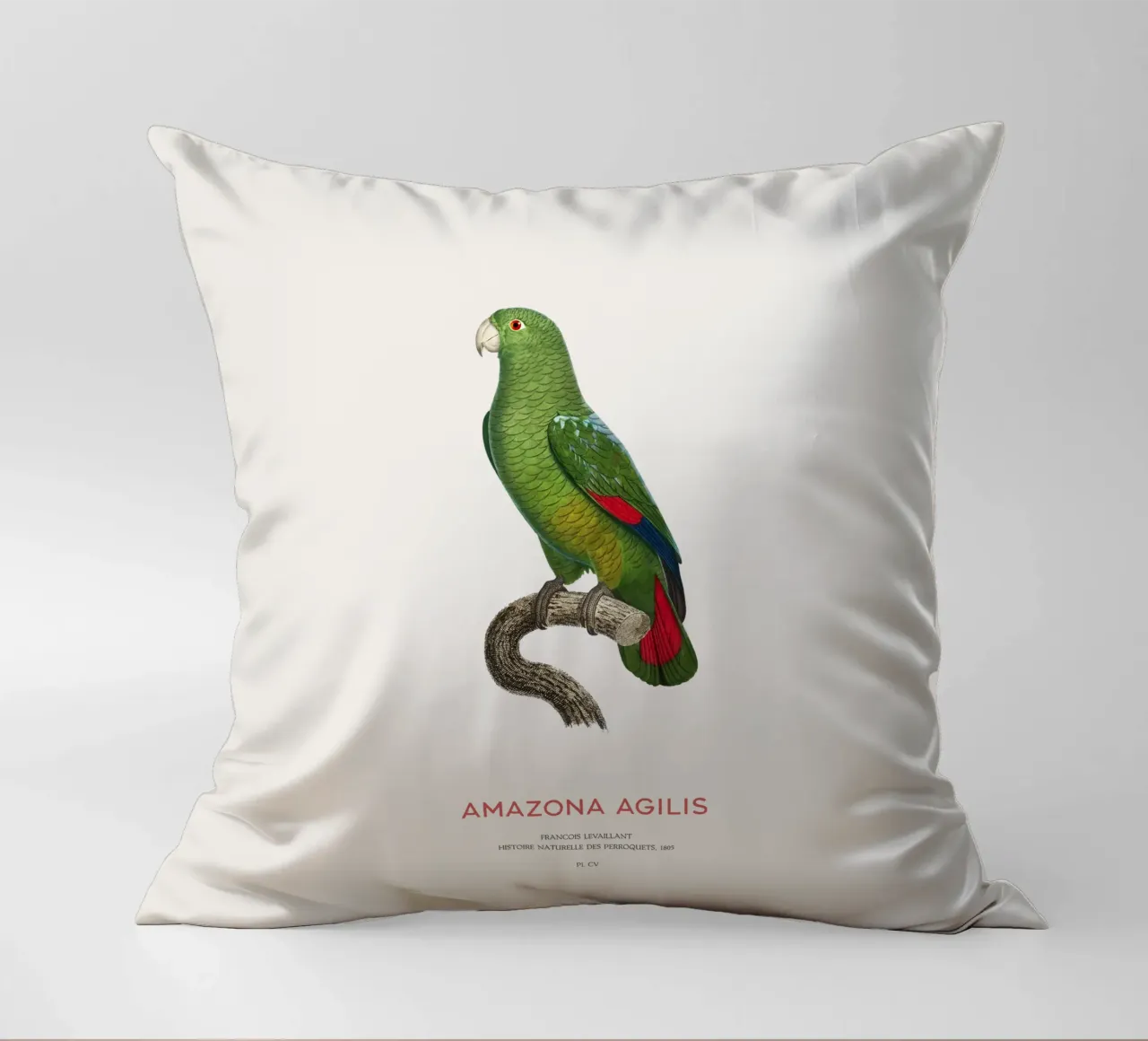 Amazzone dal becco nero o Amazona Agilis cuscino da Vintagrafica