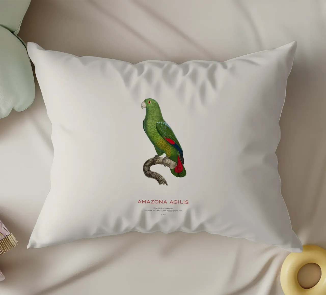 Amazzone dal becco nero o Amazona Agilis cuscino da Vintagrafica