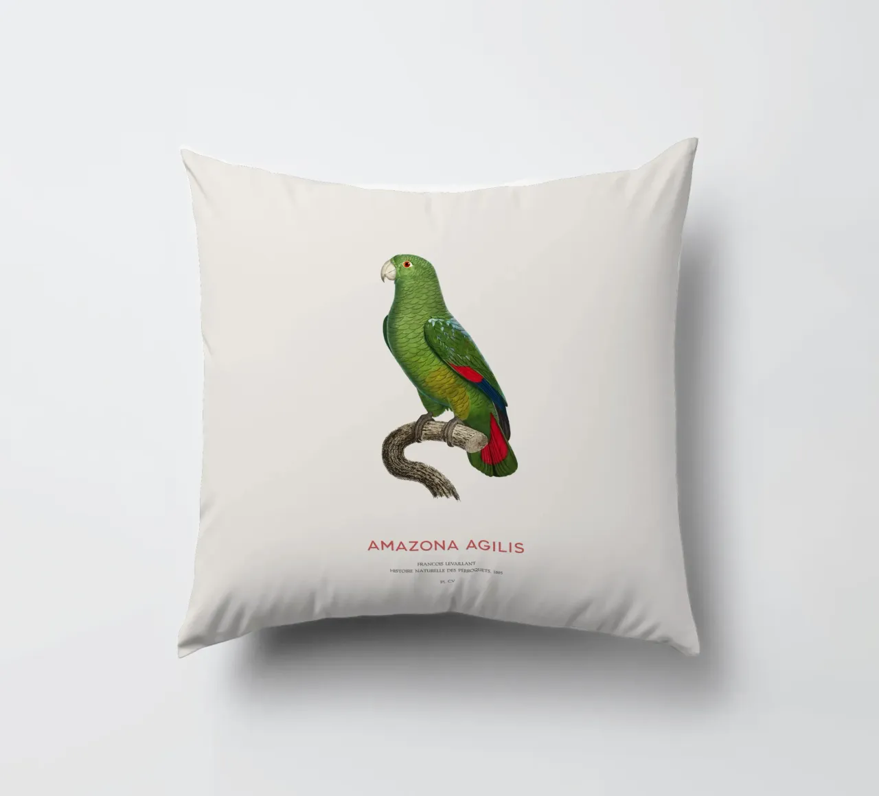 Amazzone dal becco nero o Amazona Agilis cuscino da Vintagrafica