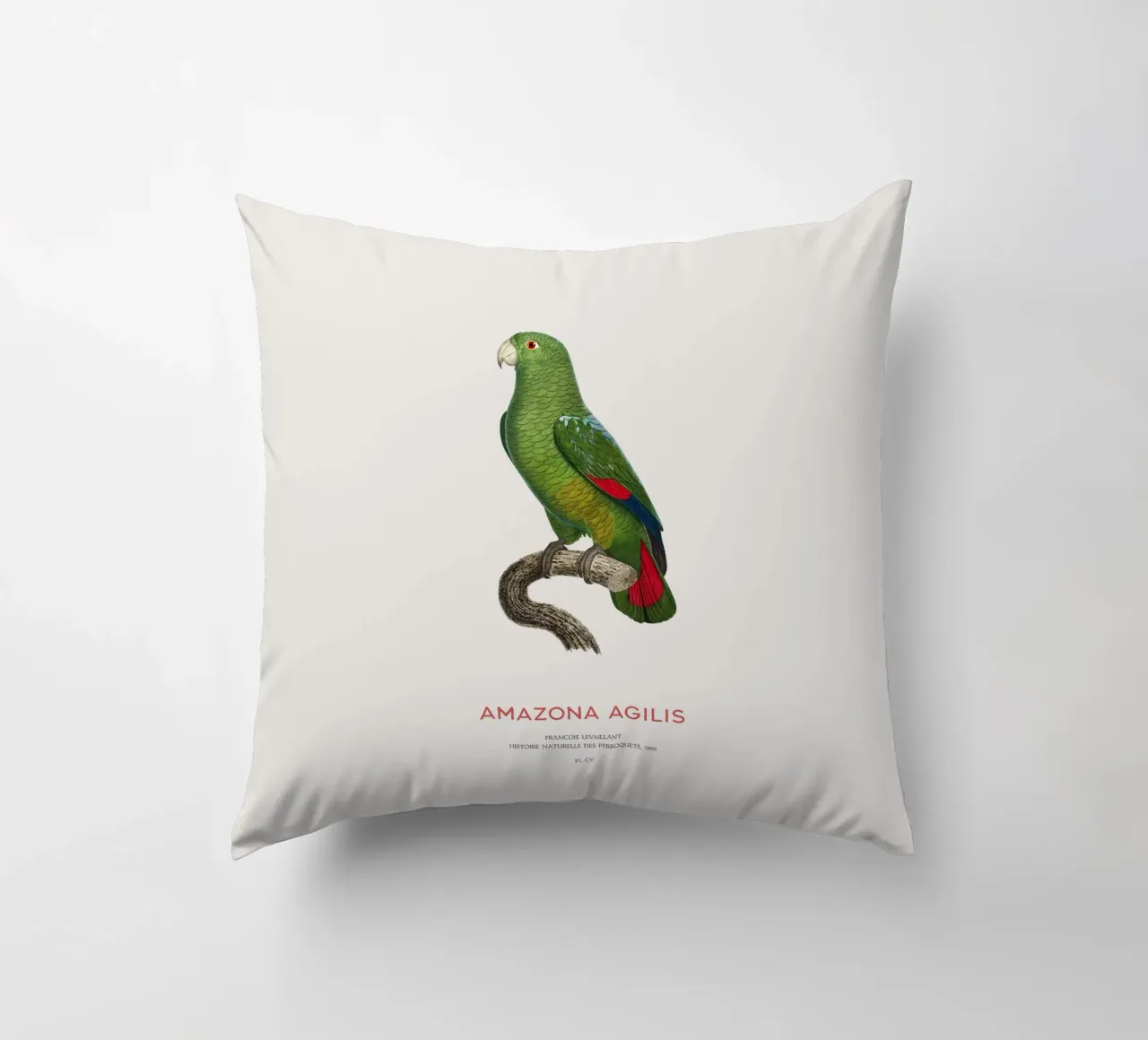Amazzone dal becco nero o Amazona Agilis cuscino da Vintagrafica