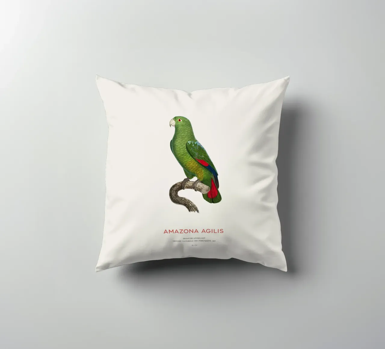 Amazzone dal becco nero o Amazona Agilis cuscino da Vintagrafica