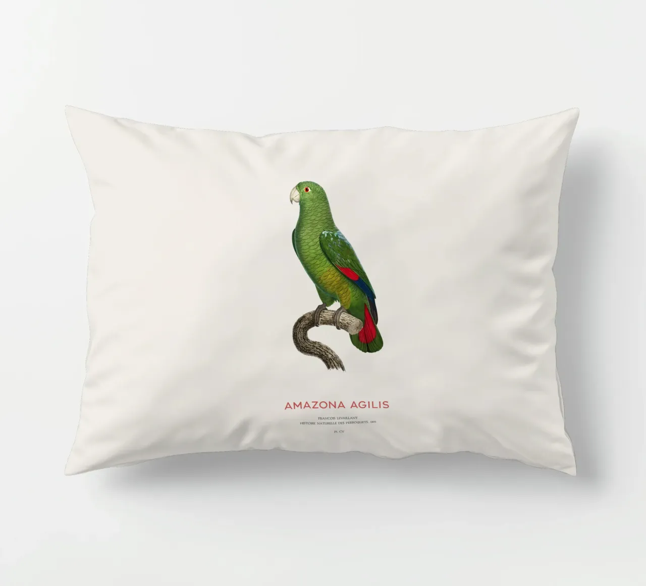 Amazzone dal becco nero o Amazona Agilis cuscino da Vintagrafica