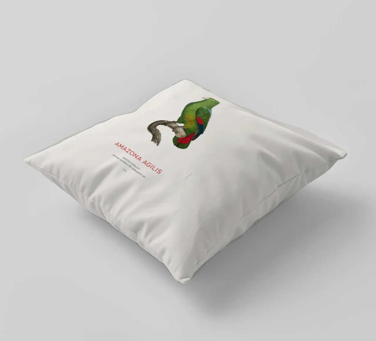 Amazzone dal becco nero o Amazona Agilis cuscino da Vintagrafica