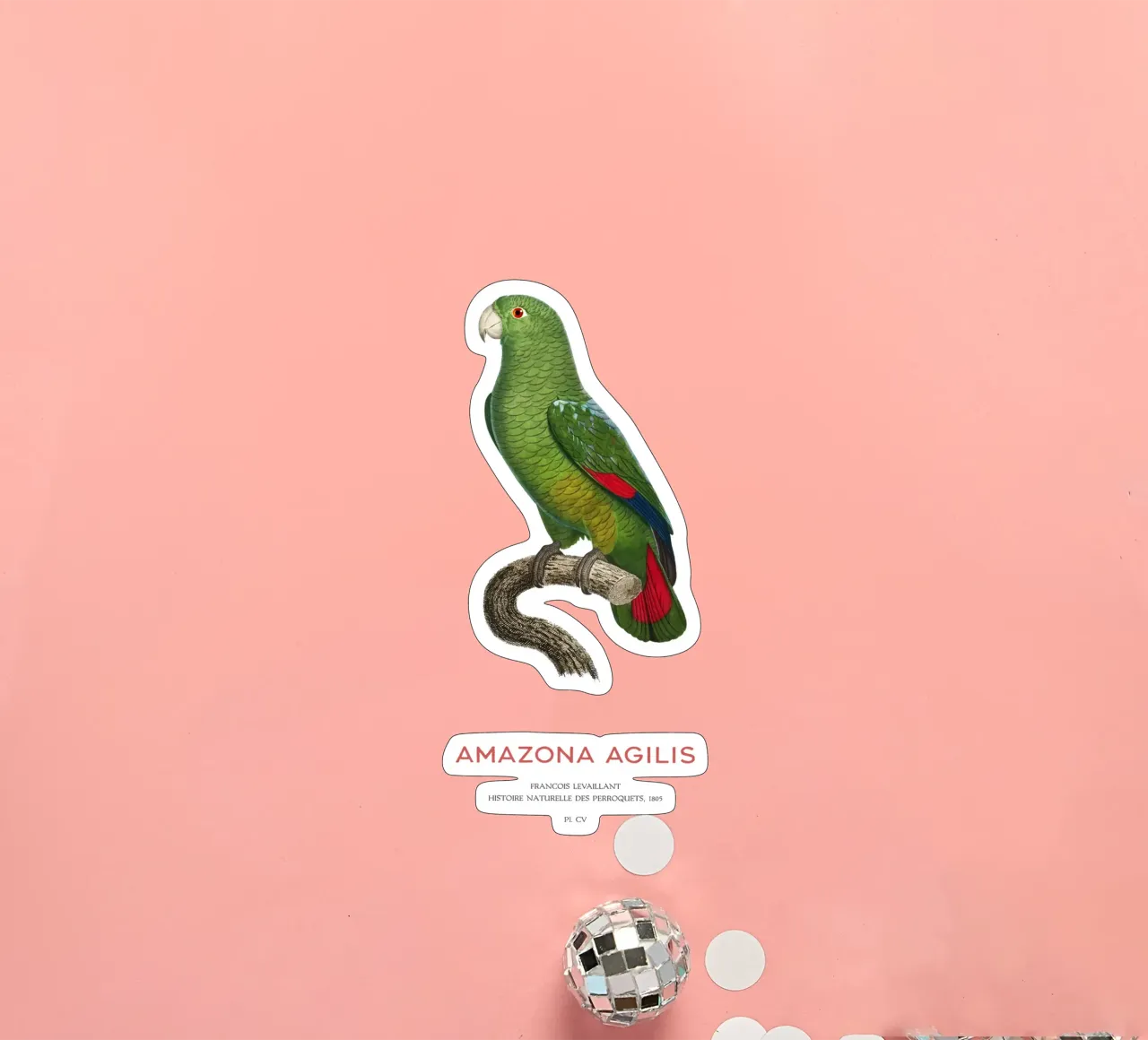 Schwarzschnabelamazone oder Amazona Agilis Sticker von Vintagrafica