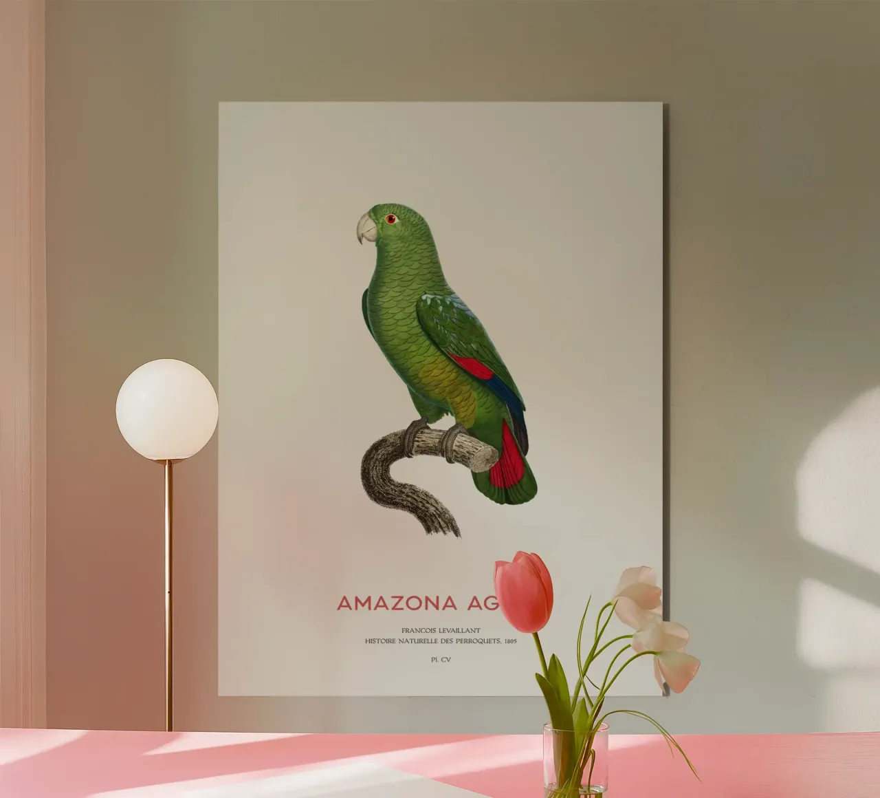 Schwarzschnabelamazone oder Amazona Agilis Alu-Dibond von Vintagrafica