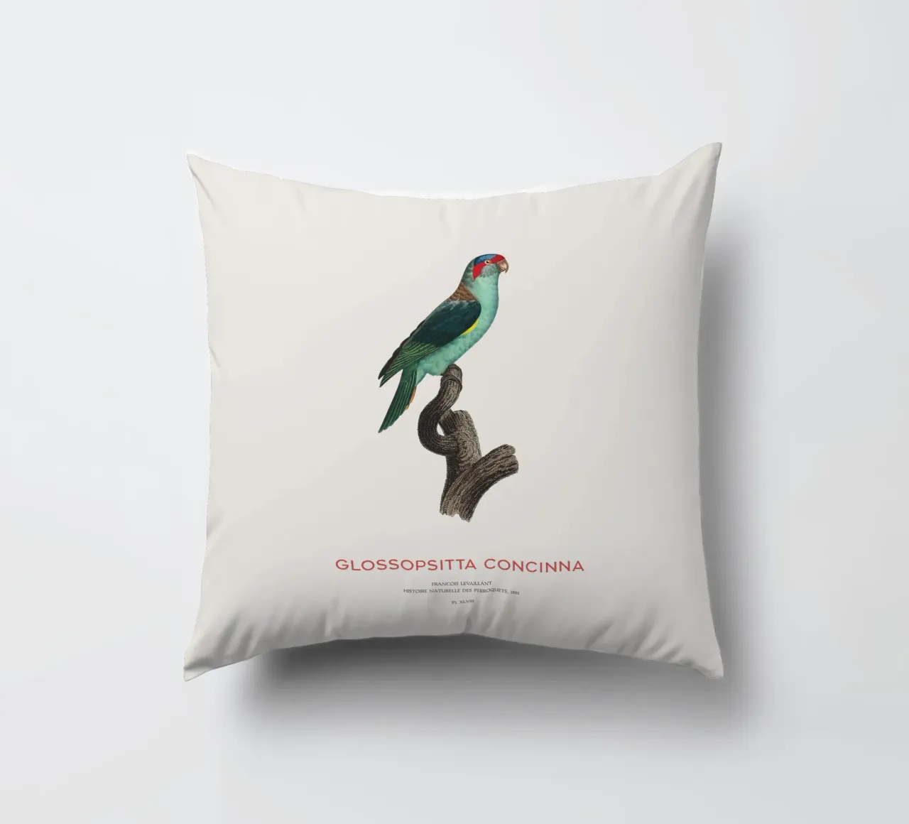 Lorichetto muschiato o Glossopsitta Concinna cuscino da Vintagrafica