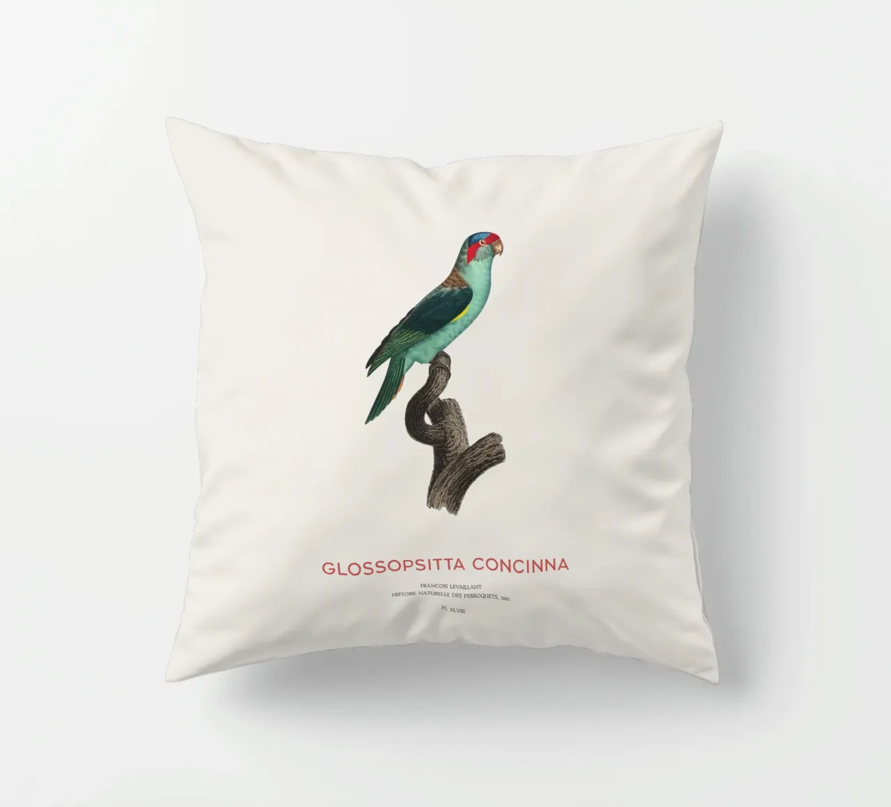 Lorichetto muschiato o Glossopsitta Concinna cuscino da Vintagrafica