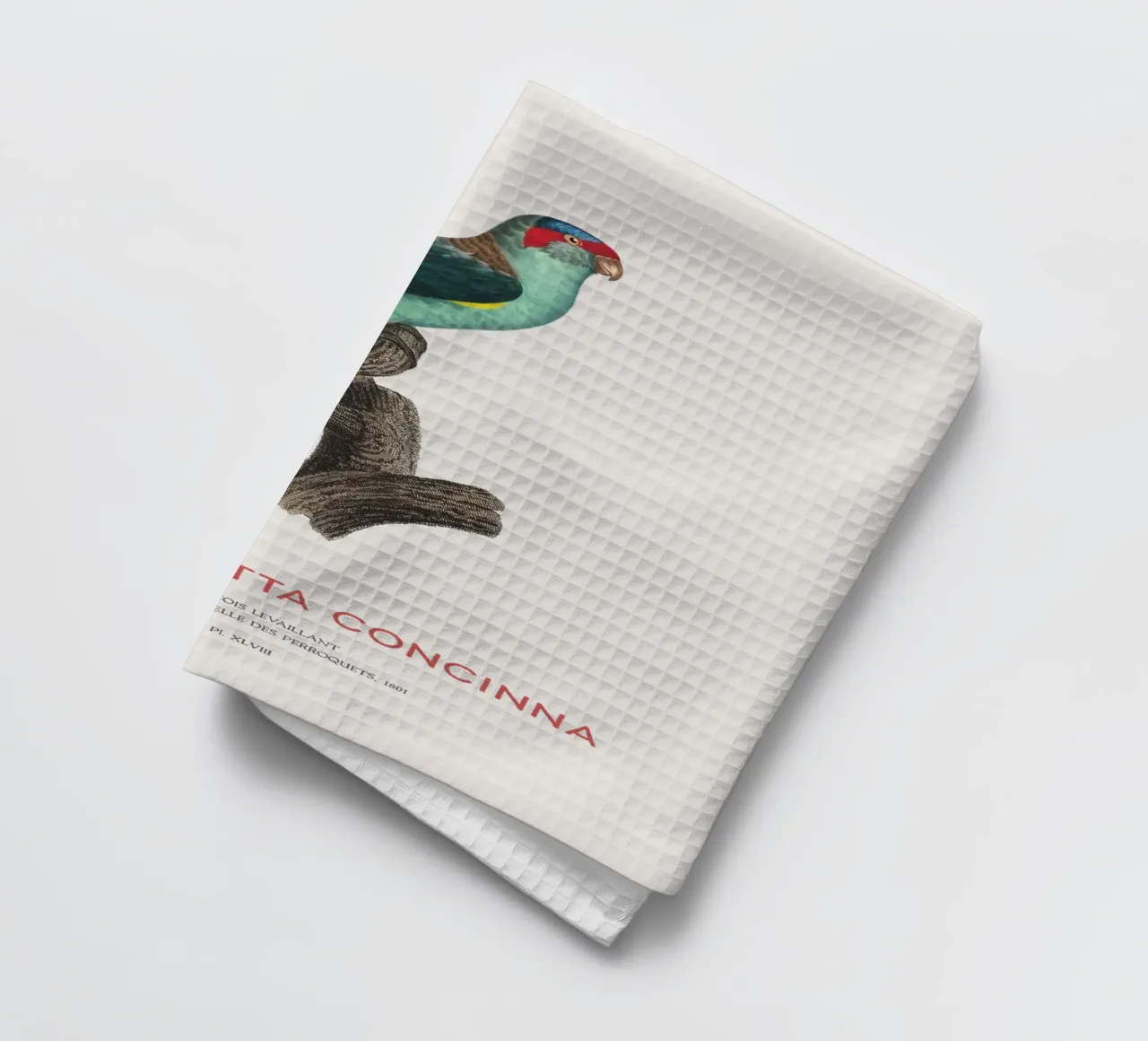 Moschuslorchel oder Glossopsitta Concinna Geschirrtuch von Vintagrafica