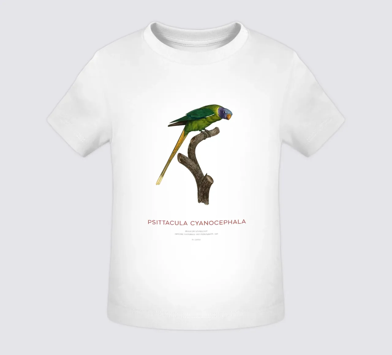 Parrocchetto testa di prugna o Psittacula Cyanocephala maglietta neonato da Vintagrafica