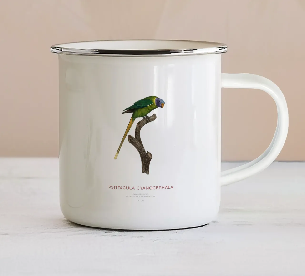 Parrocchetto testa di prugna o Psittacula Cyanocephala tazza in smalto da Vintagrafica