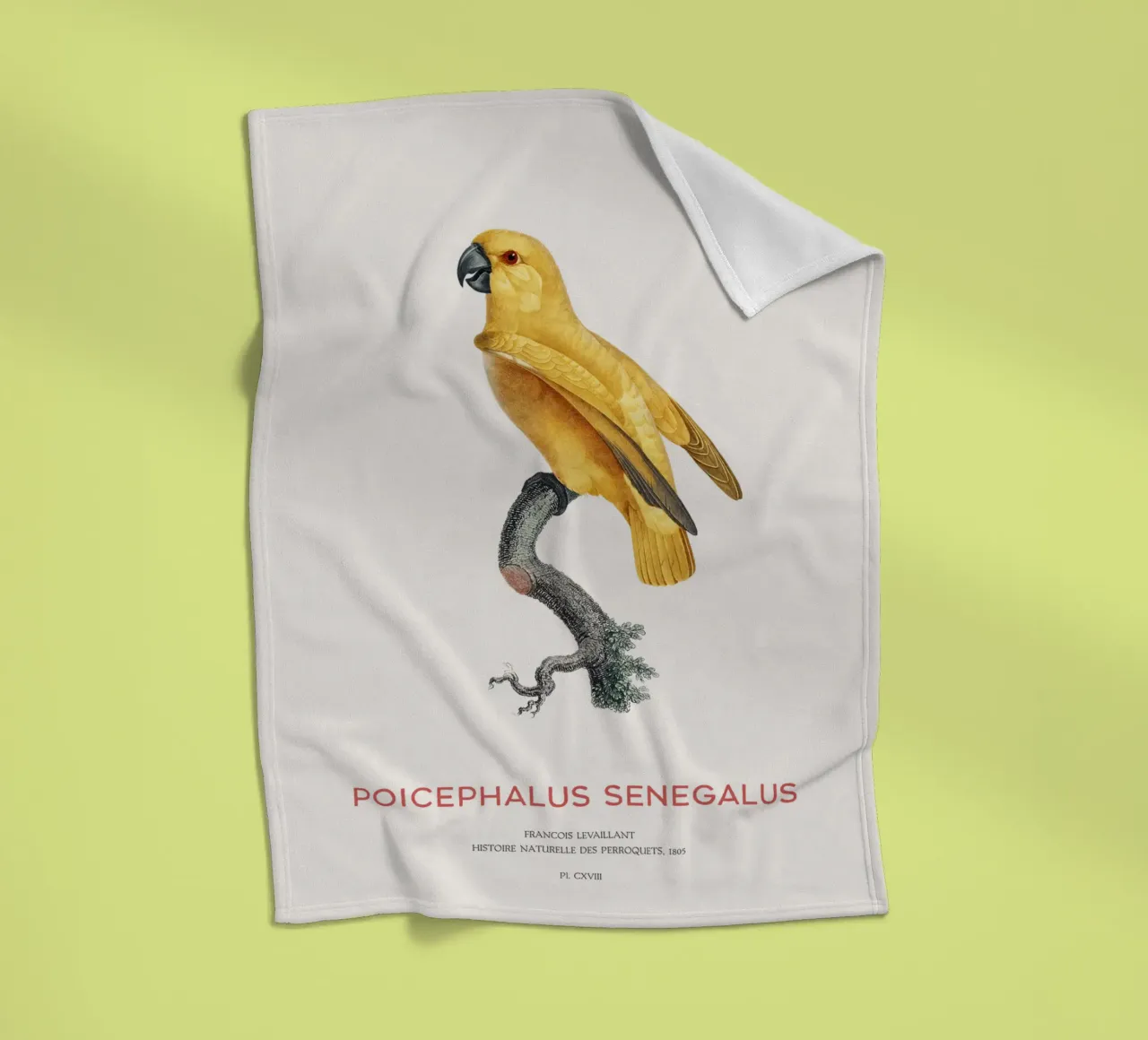 Senegalpapegaai of Poicephalus Senegalus fleecedeken van Vintagrafica