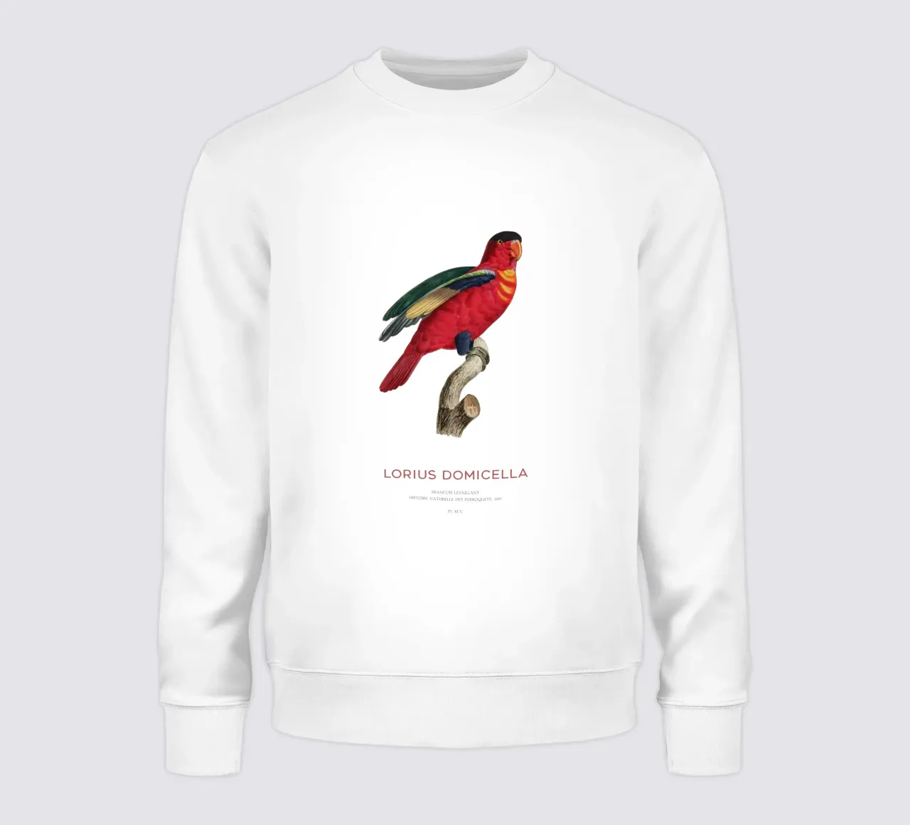 Lory dal naso viola o Lorius Domicella felpa da Vintagrafica
