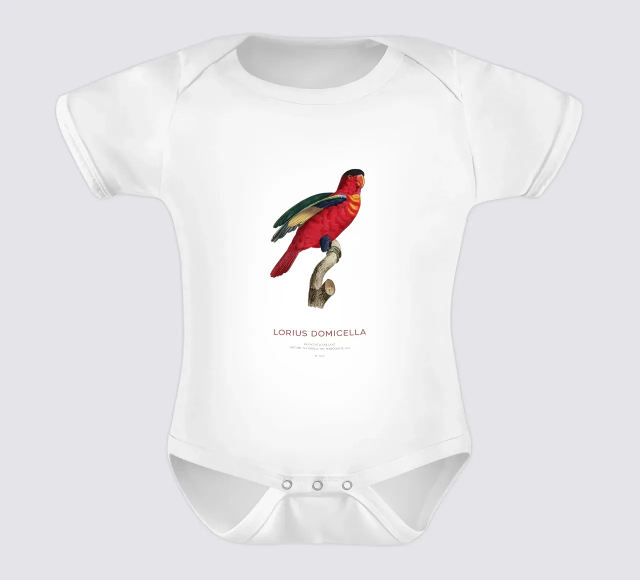 Purpurnackenlori oder Lorius Domicella Kurzarm Babybody von Vintagrafica