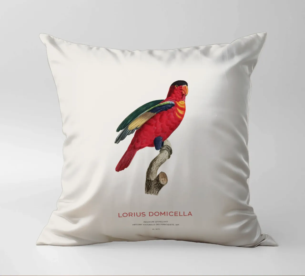 Lory dal naso viola o Lorius Domicella cuscino da Vintagrafica