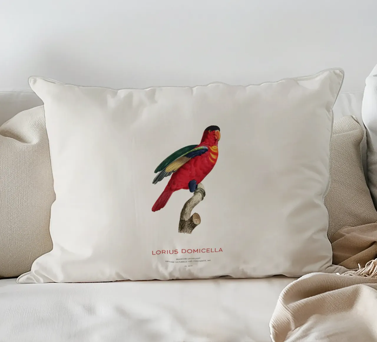 Lory dal naso viola o Lorius Domicella cuscino da Vintagrafica