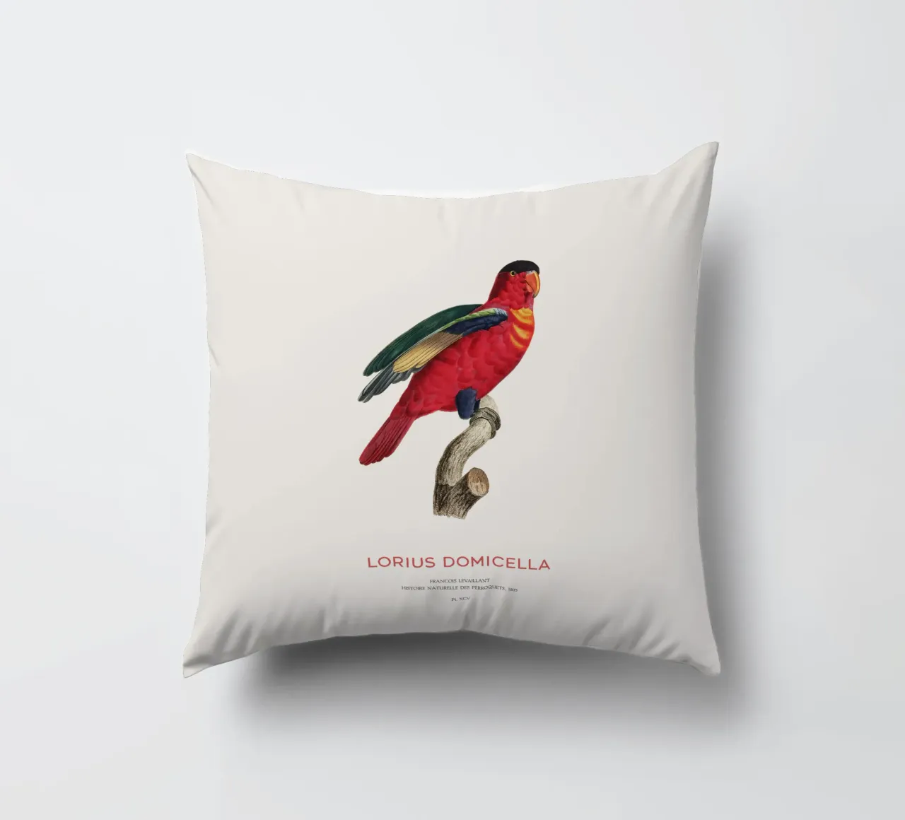 Lory dal naso viola o Lorius Domicella cuscino da Vintagrafica