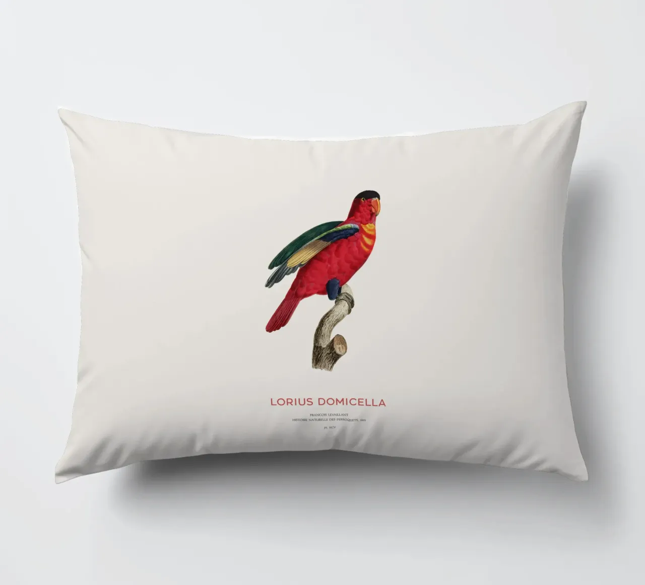Lory dal naso viola o Lorius Domicella cuscino da Vintagrafica