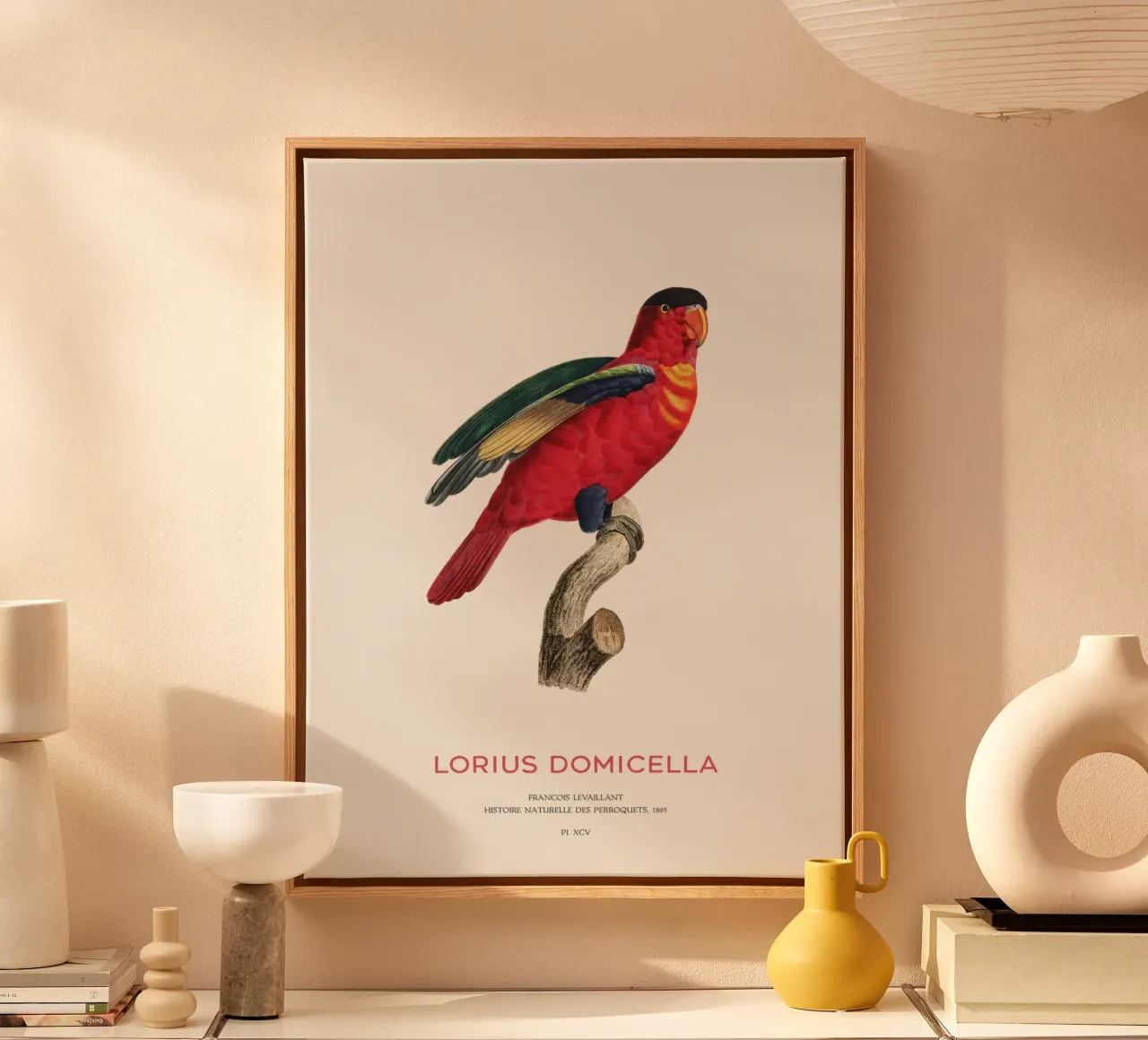 Purperlibel of Lorius Domicella canvas met Baklijst van Vintagrafica