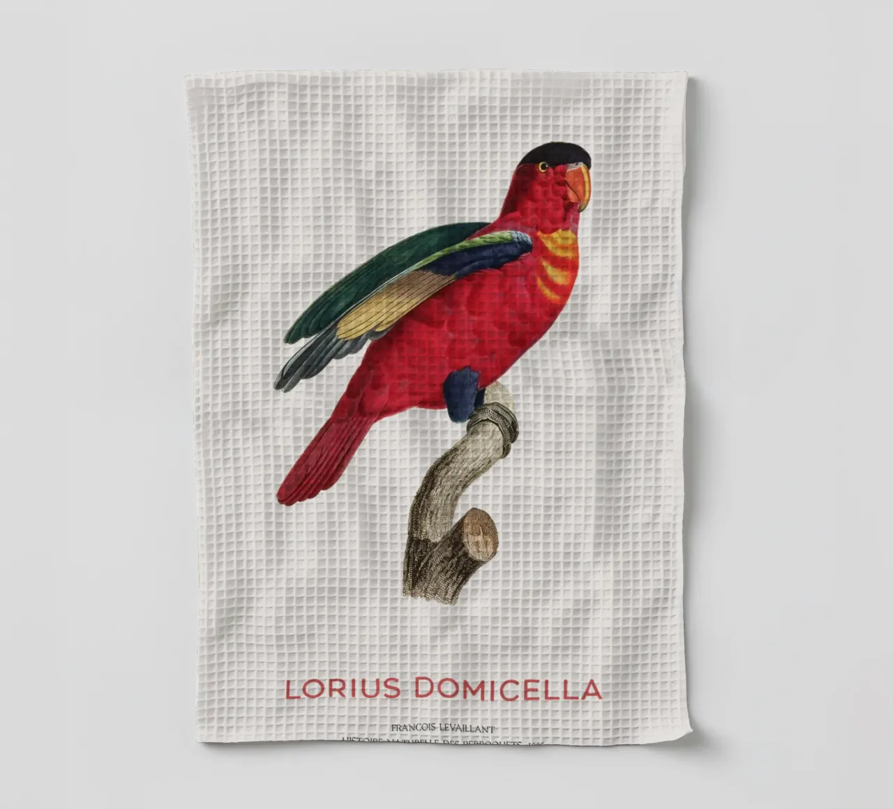 Purpurnackenlori oder Lorius Domicella Geschirrtuch von Vintagrafica