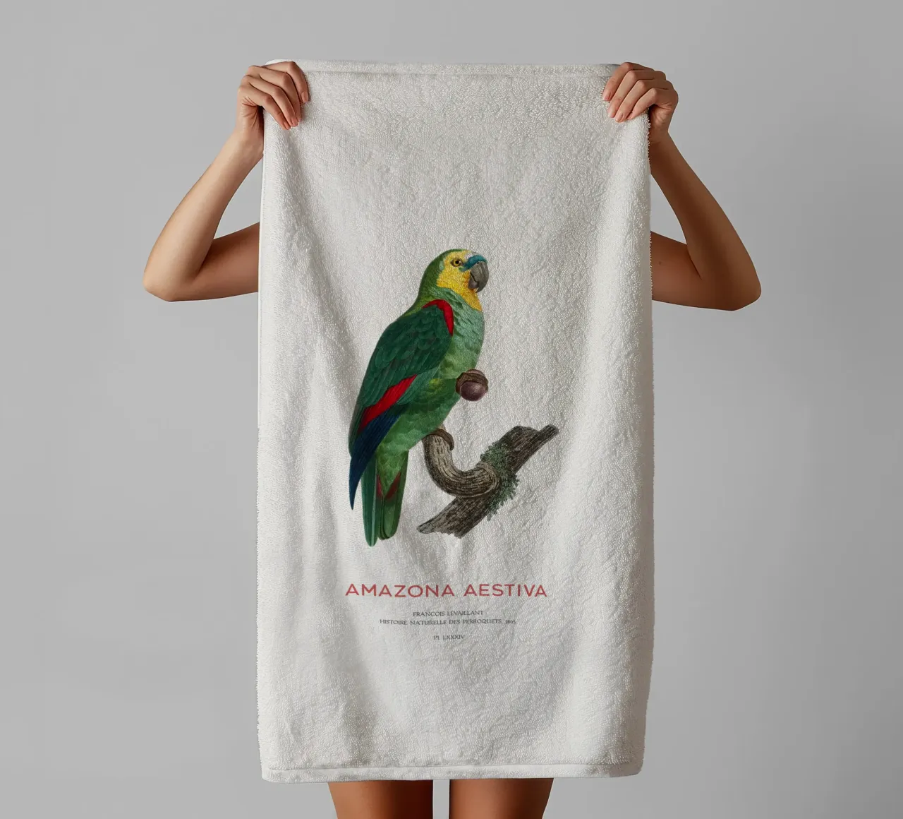 Turquoise-fronted amazon or Amazona Aestiva towel by Vintagrafica