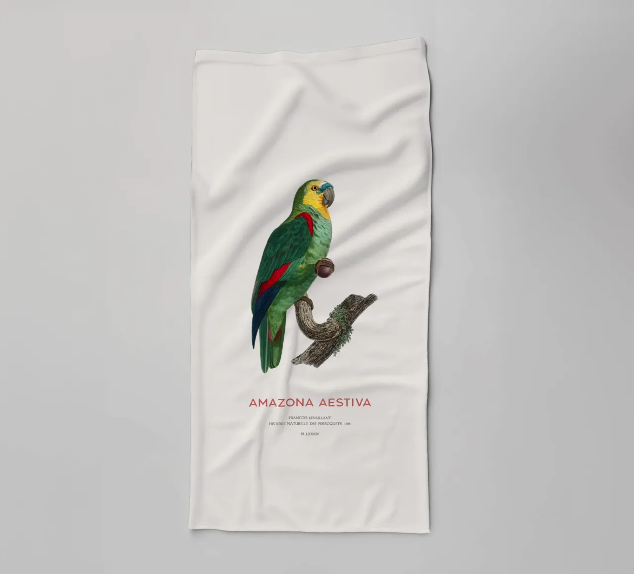 Turquoise-fronted amazon or Amazona Aestiva towel by Vintagrafica