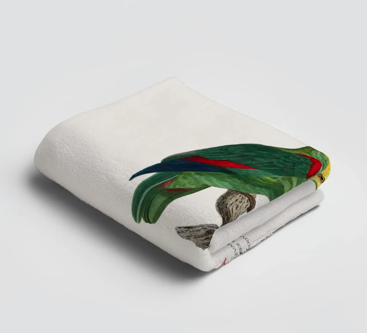 Turquoise-fronted amazon or Amazona Aestiva towel by Vintagrafica