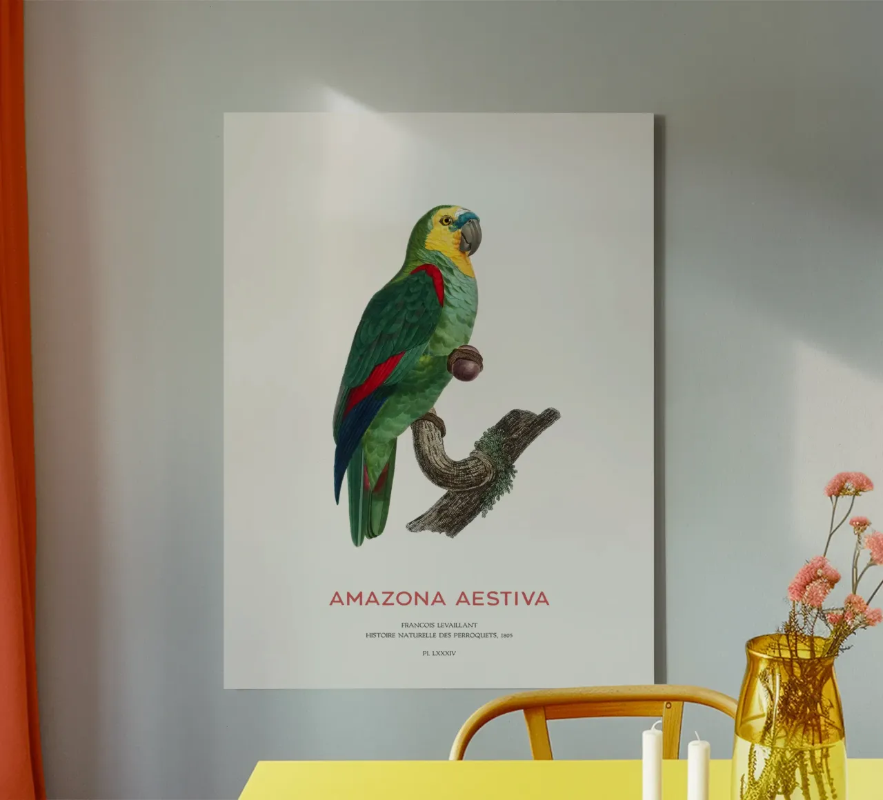 Turquoise-fronted amazon or Amazona Aestiva canvas by Vintagrafica